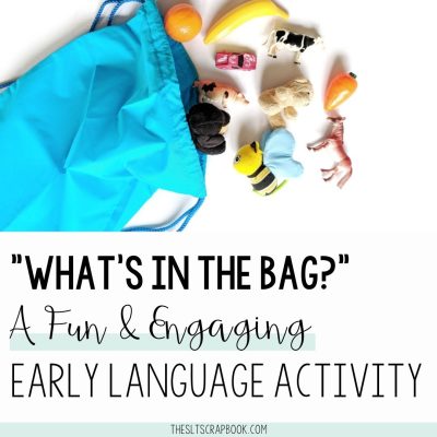 Picture of a blue drawstring bag with toys coming out of it. The text reads "what's in the bag?" an Engaging early language activity.