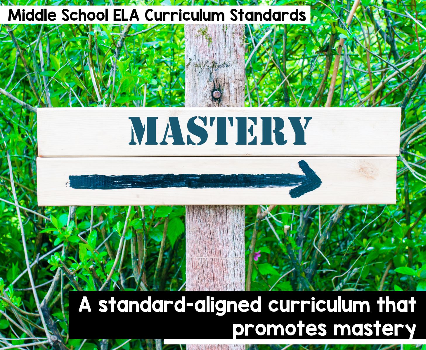 A Standard-Aligned Curriculum that Promotes Mastery