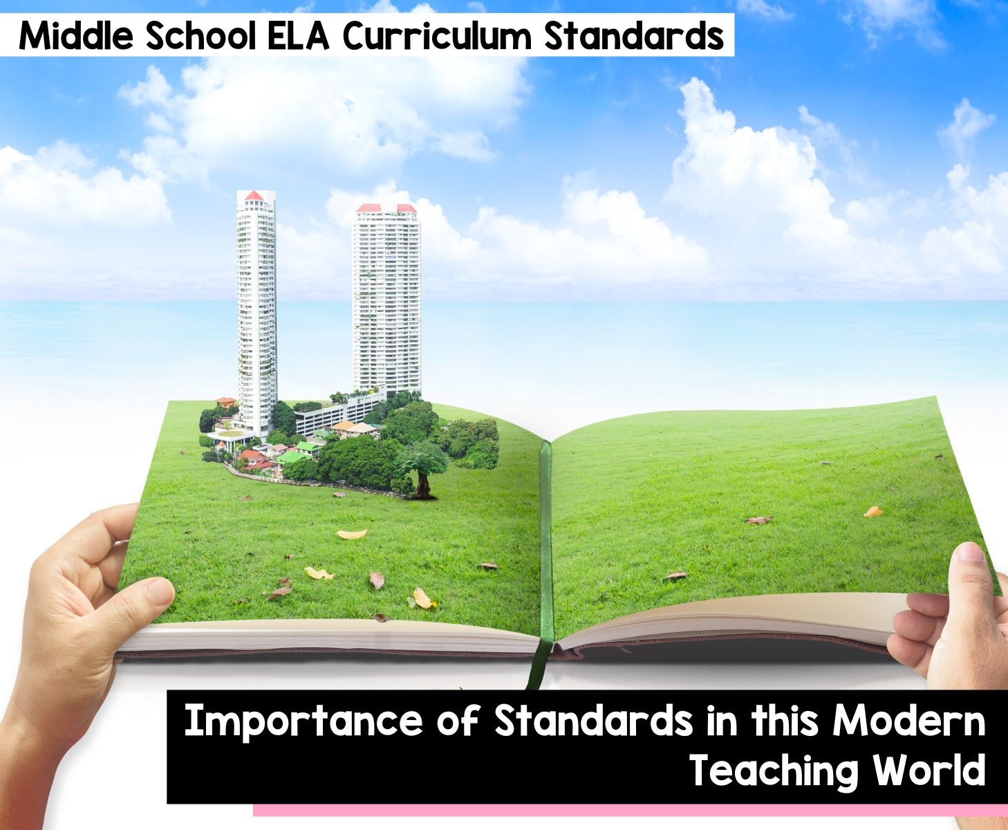Importance of standards in the modern teaching world