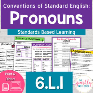 6.L.1: 6th Grade Grammar - Pronoun Worksheets Proper and Intensive Pronouns