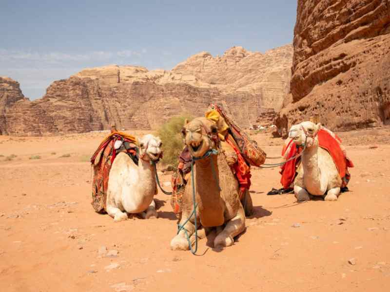 The Ultimate 2-Week Jordan Itinerary: A Day-by-Day Travel Guide