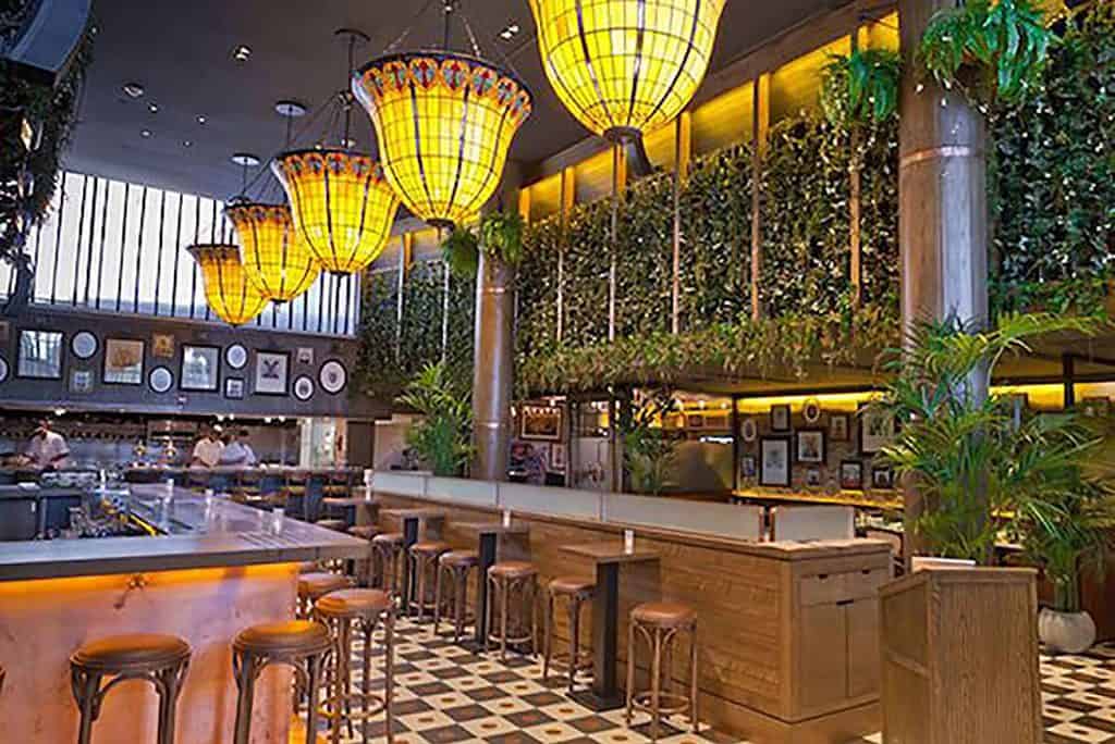 Interior of a fern bar where singles went to meet in the 1970s