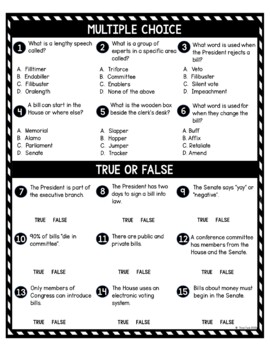 How a Bill Becomes a Law DIGITAL Reading Passage & Questions Self Grading - Image 4