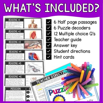 Muscular System Reading Comprehension and Puzzle Escape Room - Image 3