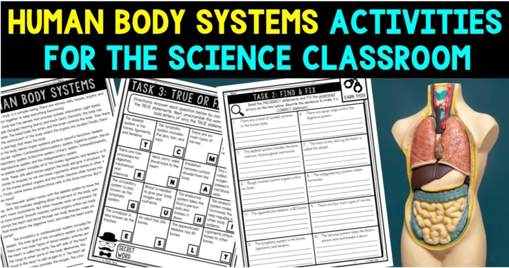 Human body systems blog cover