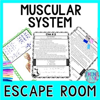 Picture of educational activity