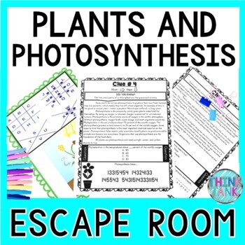 Picture of educational activity