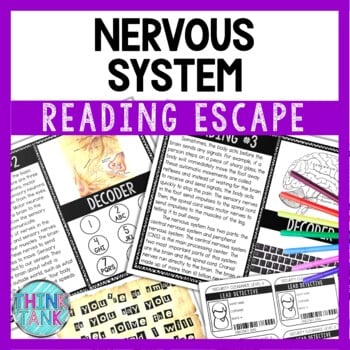 Nervous System Reading Comprehension and Puzzle Escape Room - Think ...