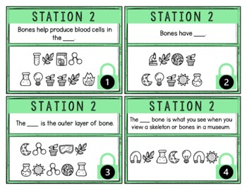 Skeletal System Breakout Activity - Task Cards Puzzle Challenge - Human Body - Image 2