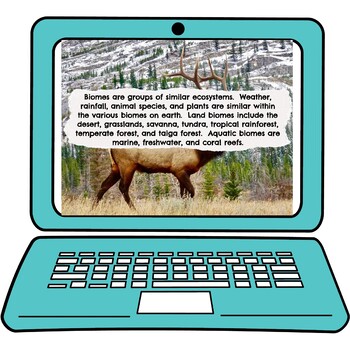 Ecosystems and Biomes Interactive Google Slides™ | Distance Learning - Image 2