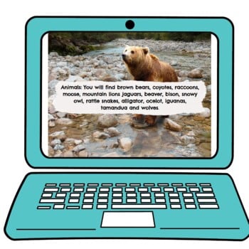North America Interactive Google Slides™ Presentation | Distance Learning - Image 2