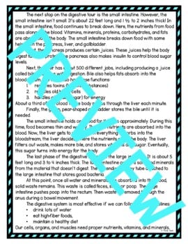 Digestive System DIGITAL Reading Passage and Questions - Self Grading - Image 3