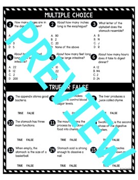 Digestive System DIGITAL Reading Passage and Questions - Self Grading - Image 4