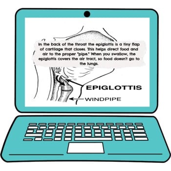 Respiratory System Interactive Google Slides™ Presentation | Digital - Image 3