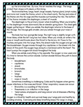 Respiratory System DIGITAL Reading Passage and Questions - Self Grading - Image 3