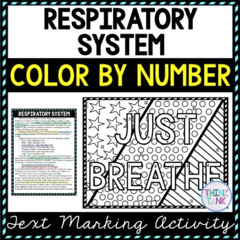 Respiratory System Color by Number, Reading Passage and Text Marking
