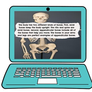 Skeletal System Interactive Google Slides™ Presentation | Digital - Image 2