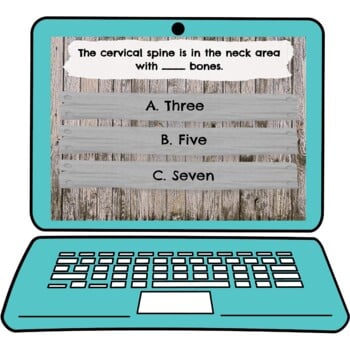 Skeletal System Interactive Google Slides™ Presentation | Digital - Image 4