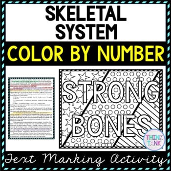 Skeletal System Color by Number, Reading Passage and Text Marking