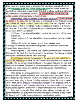 Skeletal System Color by Number, Reading Passage and Text Marking - Image 4