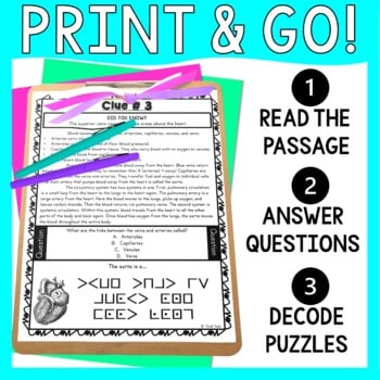 Circulatory System ESCAPE ROOM Activity - Human Body Systems - Image 2