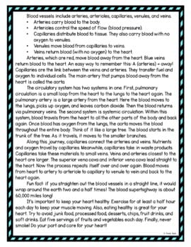 Circulatory System DIGITAL Reading Passage and Questions - Self Grading - Image 3