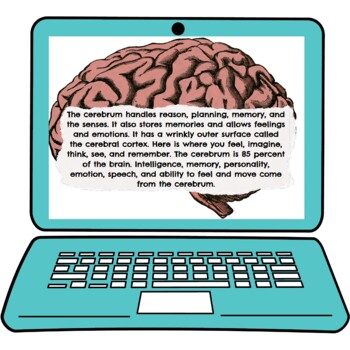 Nervous System Interactive Google Slides™ Presentation | Digital - Image 2