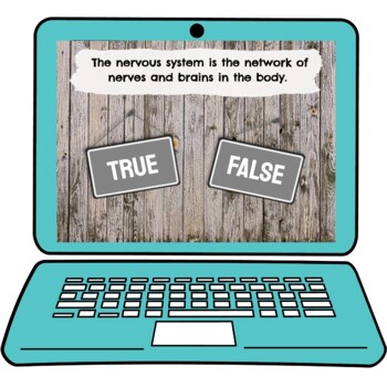 Nervous System Interactive Google Slides™ Presentation | Digital - Image 4