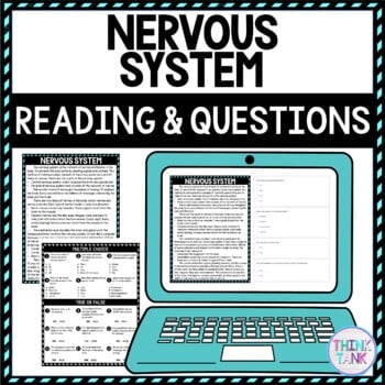 Nervous System DIGITAL Reading Passage and Questions - Self Grading