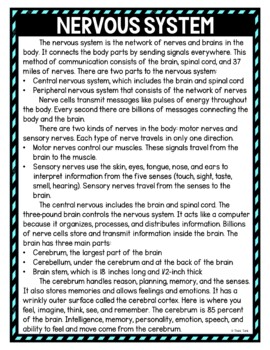 Nervous System DIGITAL Reading Passage and Questions - Self Grading - Image 2