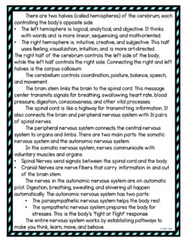 Nervous System DIGITAL Reading Passage and Questions - Self Grading - Image 3