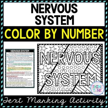 Nervous System Color by Number, Reading Passage and Text Marking