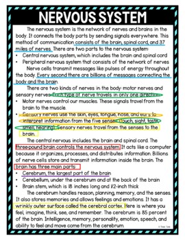 Nervous System Color by Number, Reading Passage and Text Marking - Image 4