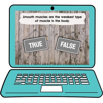 Muscular System Interactive Google Slides™ Presentation | Digital - Image 4