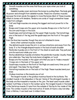 Muscular System DIGITAL Reading Passage and Questions - Self Grading - Image 3