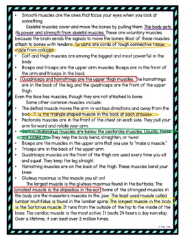 Muscular System Color by Number, Reading Passage and Text Marking - Image 4