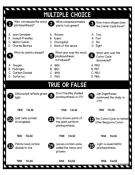 Plants & Photosynthesis DIGITAL Reading Passage and Questions - Self Grading - Image 4