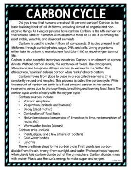 Carbon Cycle DIGITAL Reading Passage and Questions - Self Grading - Image 2