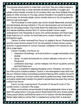 Carbon Cycle DIGITAL Reading Passage and Questions - Self Grading - Image 3