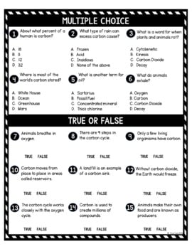 Carbon Cycle DIGITAL Reading Passage and Questions - Self Grading - Image 4