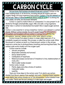 Carbon Cycle Color by Number, Reading Passage and Text Marking - Image 4