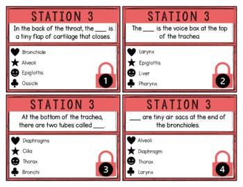 Respiratory System Breakout Activity - Task Cards Puzzle Challenge - Image 4