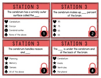 Nervous System Breakout Activity - Task Cards Puzzle Challenge - Image 4