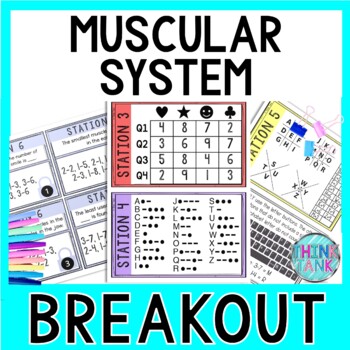 Muscular System Breakout Activity - Task Cards Puzzle Challenge