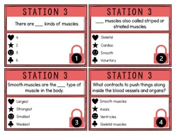 Muscular System Breakout Activity - Task Cards Puzzle Challenge - Image 4