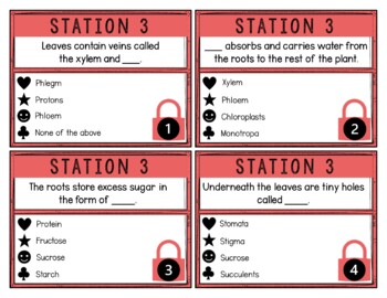 Plants and Photosynthesis Breakout Activity - Task Cards Puzzle Challenge - Image 2