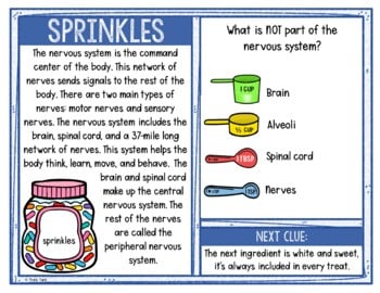 Human Body Systems Activity - Scavenger Hunt Challenge - Biology - Image 2