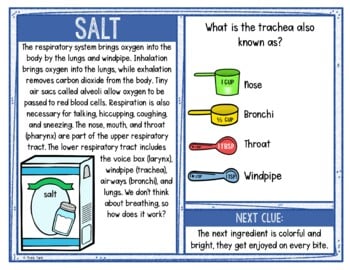 Human Body Systems Activity - Scavenger Hunt Challenge - Biology - Image 4