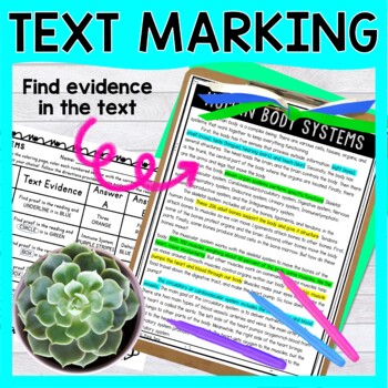 Human Body Systems Color by Number, Reading Passage and Text Marking - Image 3