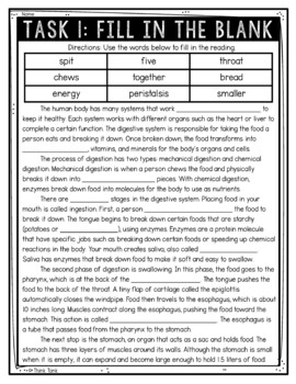 Digestive System Reading Comprehension Challenge - Close Reading - Image 2